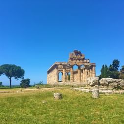 Die Ruine des griechischen Tempels Paestum