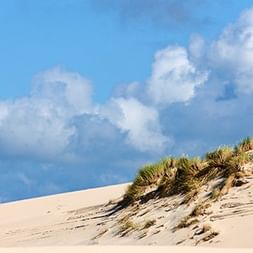 Sanddüne mit Gras an der Ostseeküste Große Sanddüne an der Ostsee mit grünem Dünengras auf den Hängen vor blauem Himmel mit weißen Wolken.