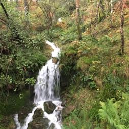 Kleiner Wasserfall in einem Wald. West-Highland-Way. Wanderferien mit Eurotrek.