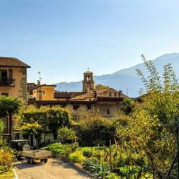 Blick auf Desenzano del Garda mit traditionellen italienischen Gebäuden, Glockenturm und üppigen Gärten. Berge im Hintergrund unter blauem Himmel.
