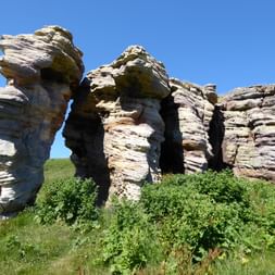 Grosse Felsen sind vom Wind geschliffen und stehen an der Küstenwanderung in Schottland.