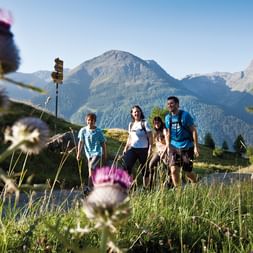 Quatre randonneurs marchent sur le chemin de Saint-Jacques en Suisse.