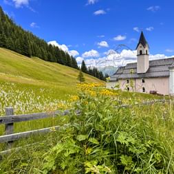 Kirche Maria Waldrast mit weißem Glockenturm in Almwiese mit gelben Wildblumen, Holzzaun und bewaldeten Bergen unter blauem Himmel.