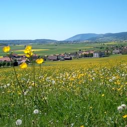 Val-de-Ruz lies in the middle of a green meadow landscape with flowers.