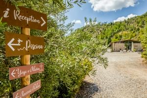 Holzwegweiser zur Reception, Piscina, Yoga e Pilates und Accesso Chalet im Agriturismo Le Valli in Casciana Terme, mit Olivenbäumen und Hügeln.