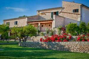 Steinfinca mit grünen Fensterläden und Terrasse auf Mallorca, umgeben von gepflegtem Rasen, Olivenbäumen und roten Blütenpflanzen auf Steinmauer.
