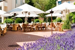 Terrasse des Hotel Vila Vita Rosengarten