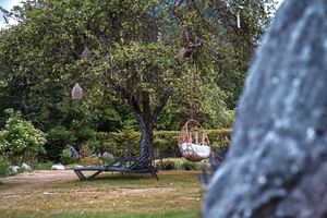 Gartenbereich des Bergrose Hideaway mit Korb-Hängesessel an Metallgestell unter großem Baum, umgeben von grünem Rasen und Landschaftsgestaltung.