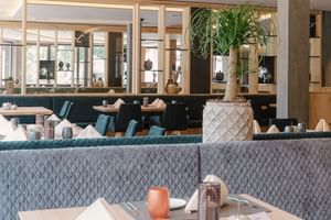 Moderner Speisesaal im Mein Almhof mit türkisfarbenen Polstersitzen, weißen Tischen, dekorativer Palme und Regalen mit Töpferwaren.