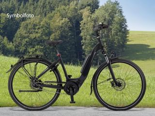 Schwarzes E-Bike mit Tiefeinsteiger-Rahmen am Straßenrand, grüne Wiese und Bäume im Hintergrund. Scheibenbremsen und Gepäckträger sichtbar.