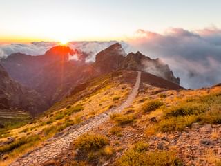 Steiniger Wanderweg durch goldene Vegetation am Madeira Berghang bei Sonnenaufgang, mit dramatischen Gipfeln und Wolken darunter.