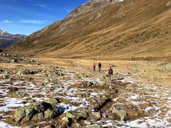 Drei Wanderer wandern durch eine Ebene im Gebirge oberhalb der Baumgrenze auf der Bernina Tour.