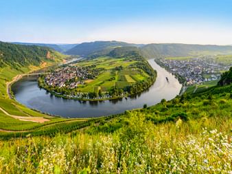 Luftaufnahme der Kröver Moselschleife, wo der Fluss eine Hufeisenbiegung um ein Dorf bildet, umgeben von grünen Weinbergen an Hängen.