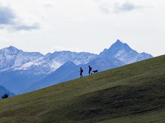 Freiheit in den Bergen
