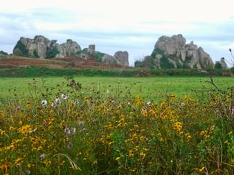 Gelbe und violette Wildblumen im Vordergrund mit grüner Wiese und dramatischen Granitfelsen unter bewölktem Himmel in Plougrescant, Bretagne.