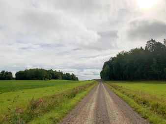 Gerade Schotterstraße zwischen grünen Feldern und Waldrändern unter bewölktem Himmel bei Stockholm, Schweden.
