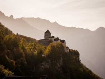 Vaduz Castle stands in the middle of forests in the sunlight.