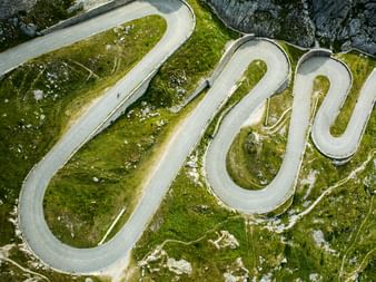 Gotthard road or snake?