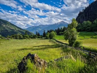 Grüne Wiese mit Holzzaun im Mölltal, Österreich. Berge und Wälder unter blauem Himmel mit weißen Wolken im Hintergrund.