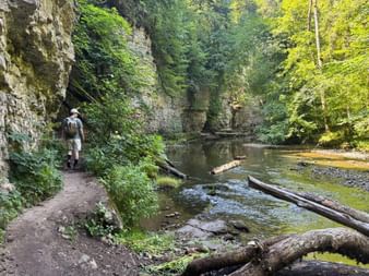 Wanderer auf Pfad neben Bach in der Wutachschlucht mit hohen Felswänden, umgestürzten Baumstämmen und üppiger grüner Vegetation.