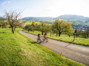 Two racing cyclists cycle up the mountain on a side road.