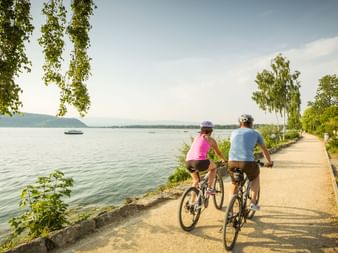 A pair of cyclists on a path on the shore of a lake