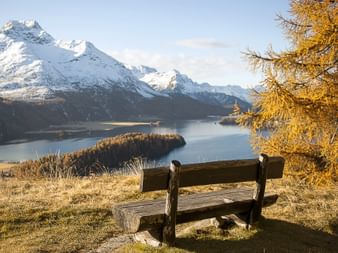 Ein Holzbänkli am Ufer des Silsersees, dass zu eine Pause einlädt, um den herrlichen Blick auf den Schneebedeckten Berg zu geniessen.