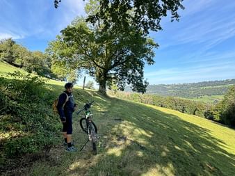Radfahrer mit Helm steht neben Velo auf grasigem Hang in der Region Saignelégier unter großem Baum mit hügeliger Landschaft im Hintergrund.