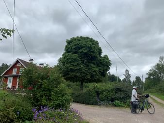 Radfahrer mit beladenem Fahrrad an Schotterweg-Kreuzung. Rotes Holzhaus mit Garten links, großer Baum in der Mitte, bewölkter Himmel.