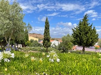 Blumenwiese in Vila Real de Santo Antonio