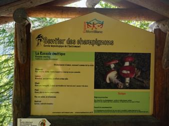 Hinweisschild auf giftige Pilze auf dem Sentier des champignons am Mont Blanc.
