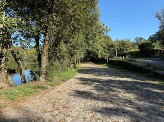 Kopfsteinpflasterweg entlang des Flusses Rio Lima, gesäumt von Bäumen. Der Ecovia-Weg bei Arcos de Valdevez mit ruhigem Wasser und blauem Himmel.