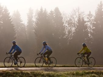 Three racing cyclists ride one behind the other on a road