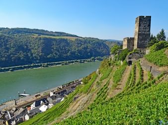 Burgen auf der Wandertour Rheinsteig