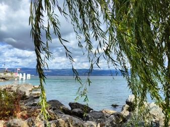 Blcik durch Laub auf den Genfersee in Yvoire.