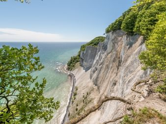 Dramatische weiße Kreideklippen mit grüner Vegetation überblicken türkisfarbenes Wasser am Øresund. Strand unten sichtbar mit klarem blauen Himmel.