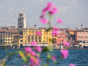 Blick auf die Uferpromenade von Riva del Garda mit historischem Turm, bunten Gebäuden und rosa Blüten im Vordergrund am Gardasee.