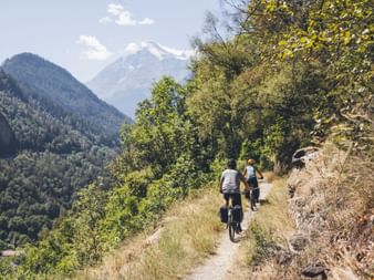 Deux cyclistes roulent en file indienne sur un sentier de montagne étroit en Valais, entourés d'une végétation verte luxuriante.