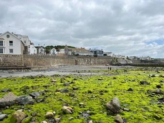 Steinmauer mit weißen Häusern in Cornwall-Dorf. Felsiger Strand mit leuchtend grünen Algen bei Ebbe unter bewölktem Himmel.