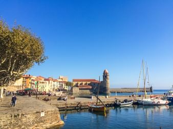 Hafen Collioure Cote Vermeille