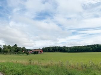 Grünes Feld mit traditionellen roten schwedischen Bauernhäusern und Wald unter bewölktem Himmel zwischen Trosa und Stockholm.
