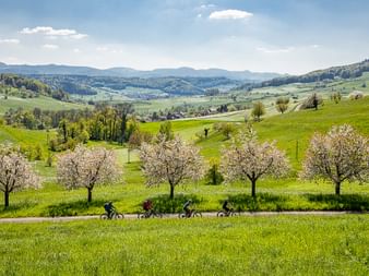 Vast green landscape in the Basel region, apple trees in the foreground