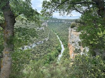 Blick auf den Ebro-Canyon in Nordspanien, eingerahmt von Bäumen, mit steilen Klippen, dichter grüner Vegetation und einem Fluss in der Schlucht.