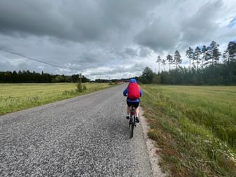 Eine Person mit blauer Jacke und rotem Rucksack fährt mit dem Fahrrad auf einer asphaltierten Strasse. Auf beiden Seiten neben der Strasse hat es eine grüne Wiese und im Vorderung sind einige hohe Föhren. Es ist stark bewölkt und es regnet.