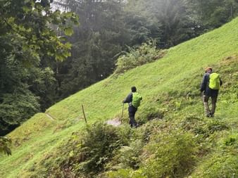 Zwei Wanderer mit Trekkingstöcken und leuchtend gelben Rucksäcken steigen einen steilen Grashang umgeben von dichtem Wald in der Ostschweiz hinauf.