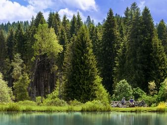 Radfahrer machen Pause in einem Wald am Seeufer im Jura.