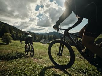Mountain bikers on a meadow in the beautiful Fribourg region. Cycling holidays with Eurotrek.