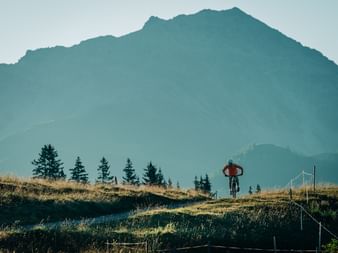 Cyclist riding on grassy hillside in Graubünden with dramatic mountain silhouette and conifer trees against misty sky.