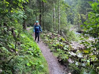 Wanderin mit blauer Jacke und Rucksack auf nassem Waldweg neben Bach. Dichter grüner Wald mit überhängenden Ästen rahmt den Pfad ein.
