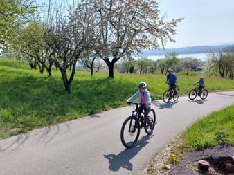 Drei Radfahrer auf einer asphaltierten Straße bergauf nach Bellerive. Blühende Obstbäume säumen den grünen Hang mit einem See in der Ferne.